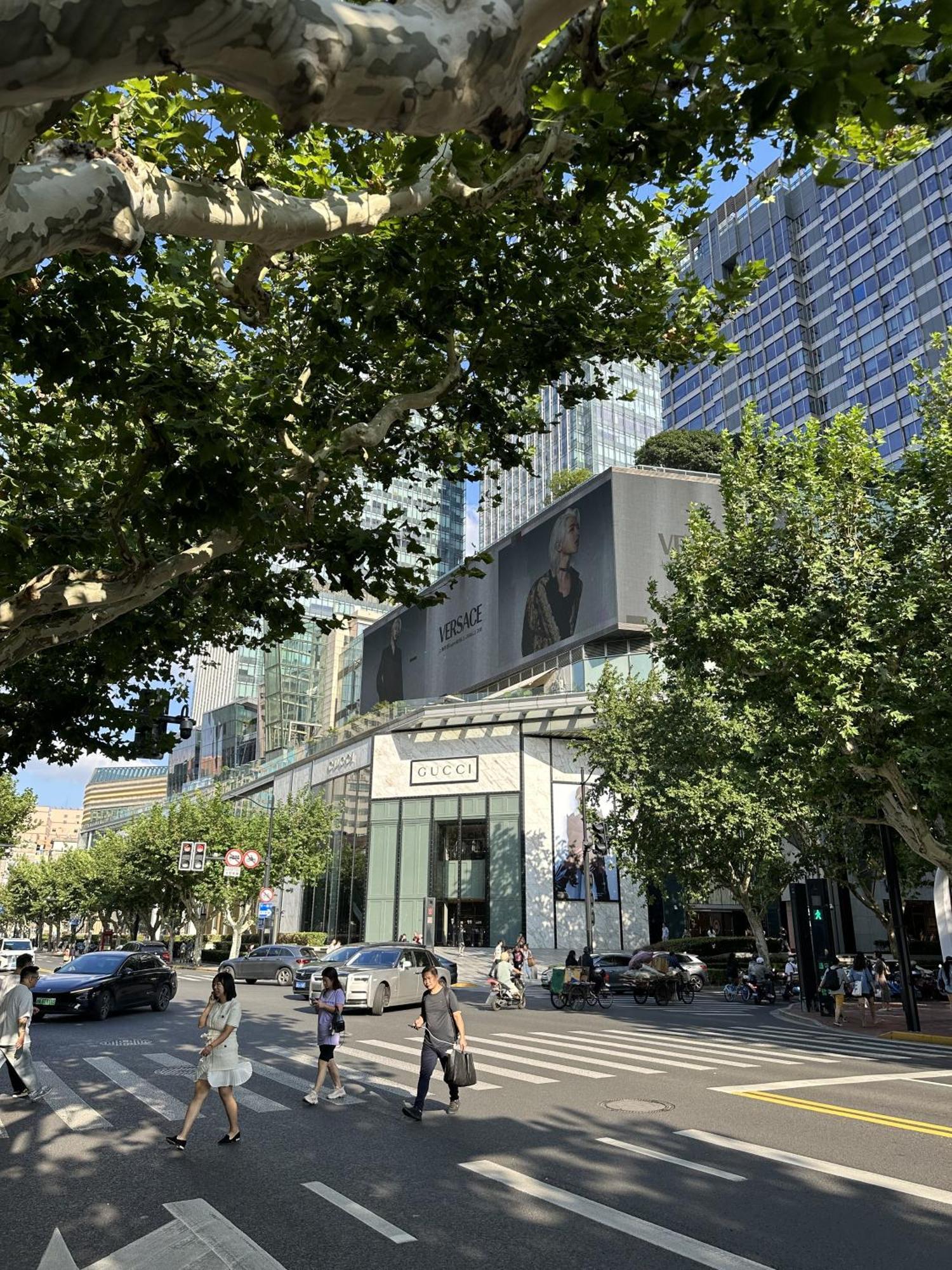 Hills& Art 17 - Near Line 1, 10 & 12 South Shanxi Road Metro Apartment